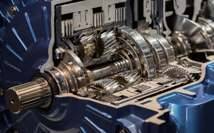  Cât costă un schimb de ulei în 2026